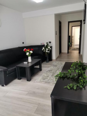 Apartament Sonya